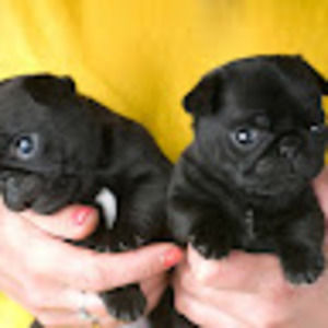 Meet your Posher, Eloise